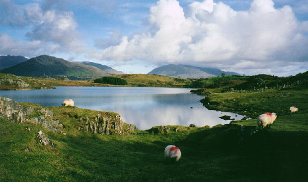 Le Connemara